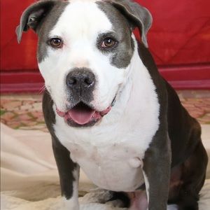 Meet your Posher, Sherrie